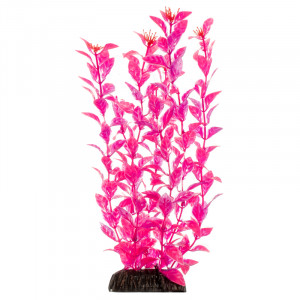 Растение "Людвигия" ярко-розовая, 400мм