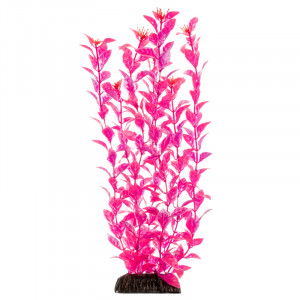 Растение "Людвигия", ярко-розовое, 500мм