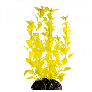 Растение "Людвигия" ярко-желтая, 200мм