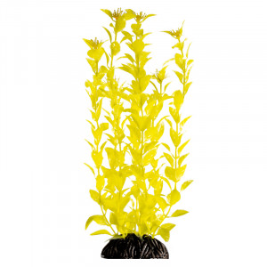 Растение "Людвигия" ярко-желтая, 300мм