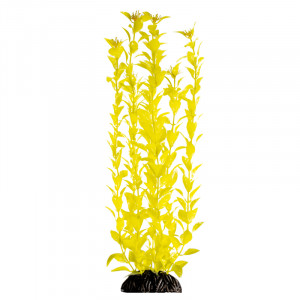 Растение "Людвигия" ярко-желтая, 400мм