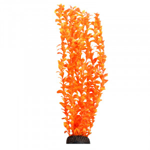 Растение "Людвигия", ярко-оранжевое, 500мм