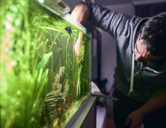 Как подобрать размер аквариума