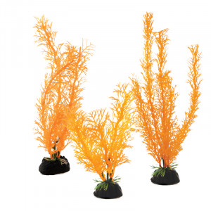 Растения "Амбулия" (набор 3шт) солнечно-оранжевая, 100мм, 200мм, 300мм