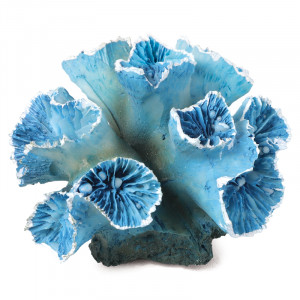 Коралл искусственный "Кауластрея", M, сине-белый, 90*85*50мм