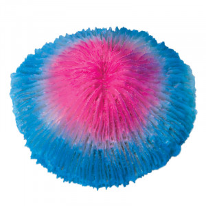 Коралл искусственный "Фунгия", розово-синий, 100*40*100мм
