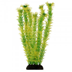 Растение 2956 "Амбулия" жёлто-зеленая, 300мм, (пакет)