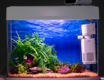 Как чистить фильтр в аквариуме?